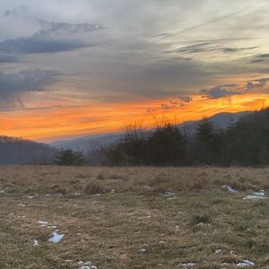 Meet your Posher, Brad